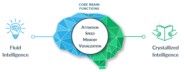 cognitive-intelligence-core-brain-function
